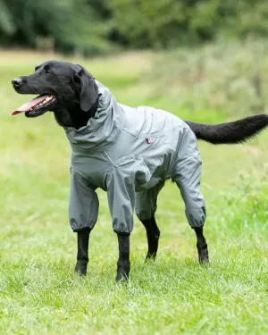 Protective Dog Overalls - Grey